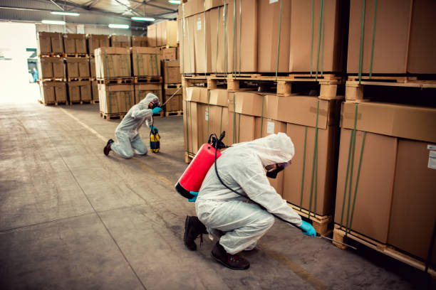 Professional Pest Control in Kendall, FL