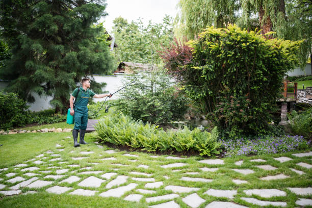 Best Wasp Removal Services  in Kendall, FL