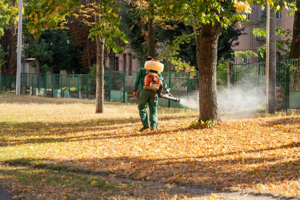 Wildlife Control Services in Kendall, FL