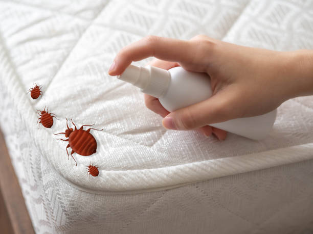 Pest Prevention Services in Kendall, FL