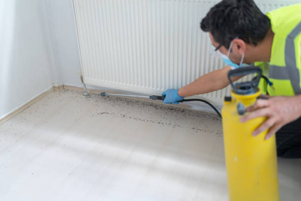 Best Best Pest Control Near Me  in Kendall, FL